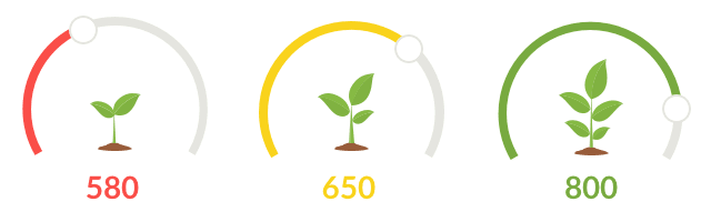 Growing plants symbolizing credit score growth.