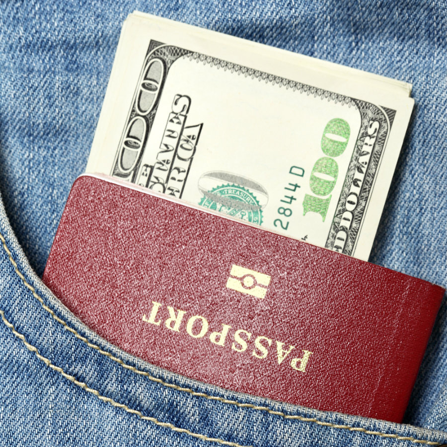 travel money dollars