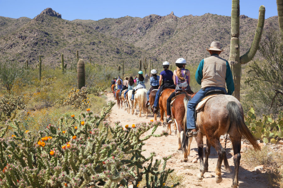 A guided horseback riding tour, in the Sonoran Desert right outside of Phoenix, Arizona in spring time.