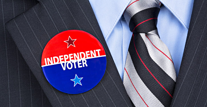 The Real Independent Voter