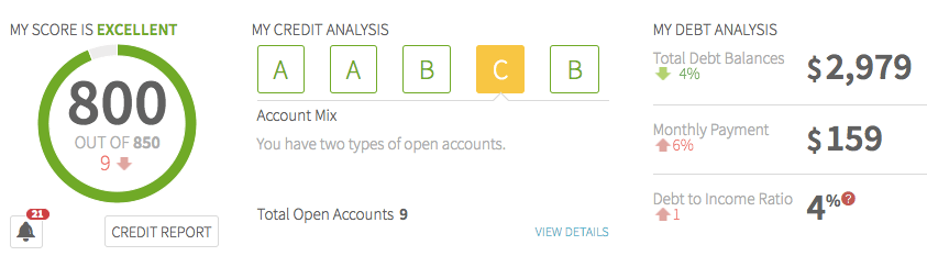 Removing Paid Collections from Your Report