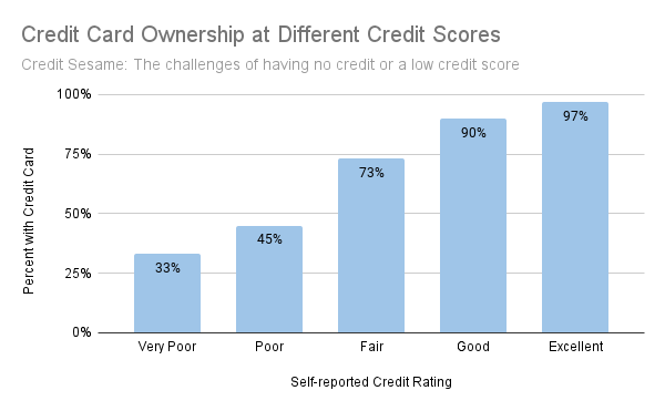 Low credit score and credit card ownership