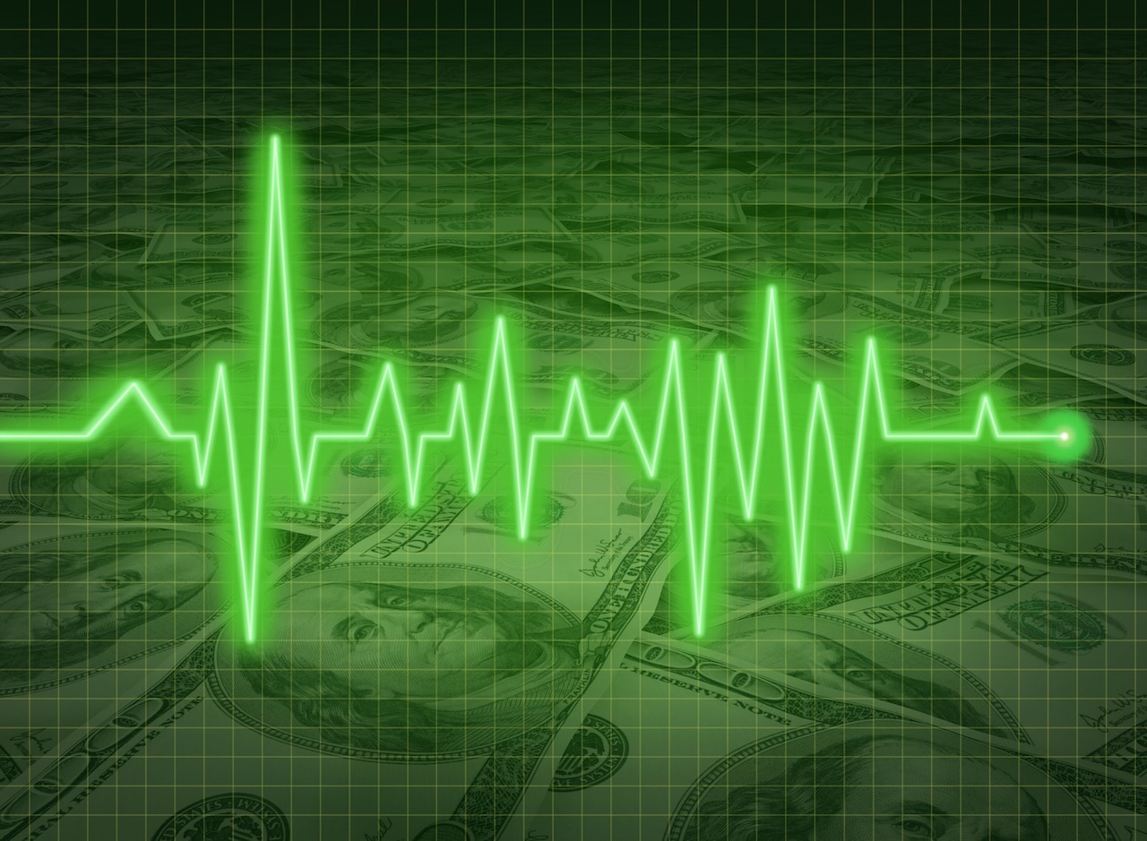 Financial Vital Signs: A Green Heartbeat Line Symbolizing Financial Health and Vitality