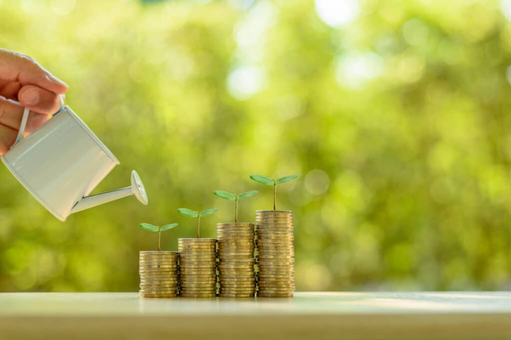 Upgrading Your Investments: A Vibrant Flower Bouquet in a Vase on a Wooden Table