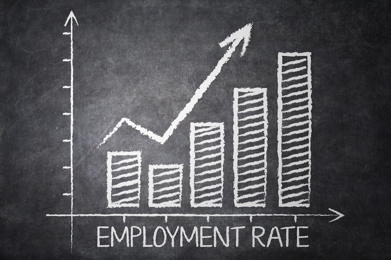 Employment Rate Graph on Blackboard