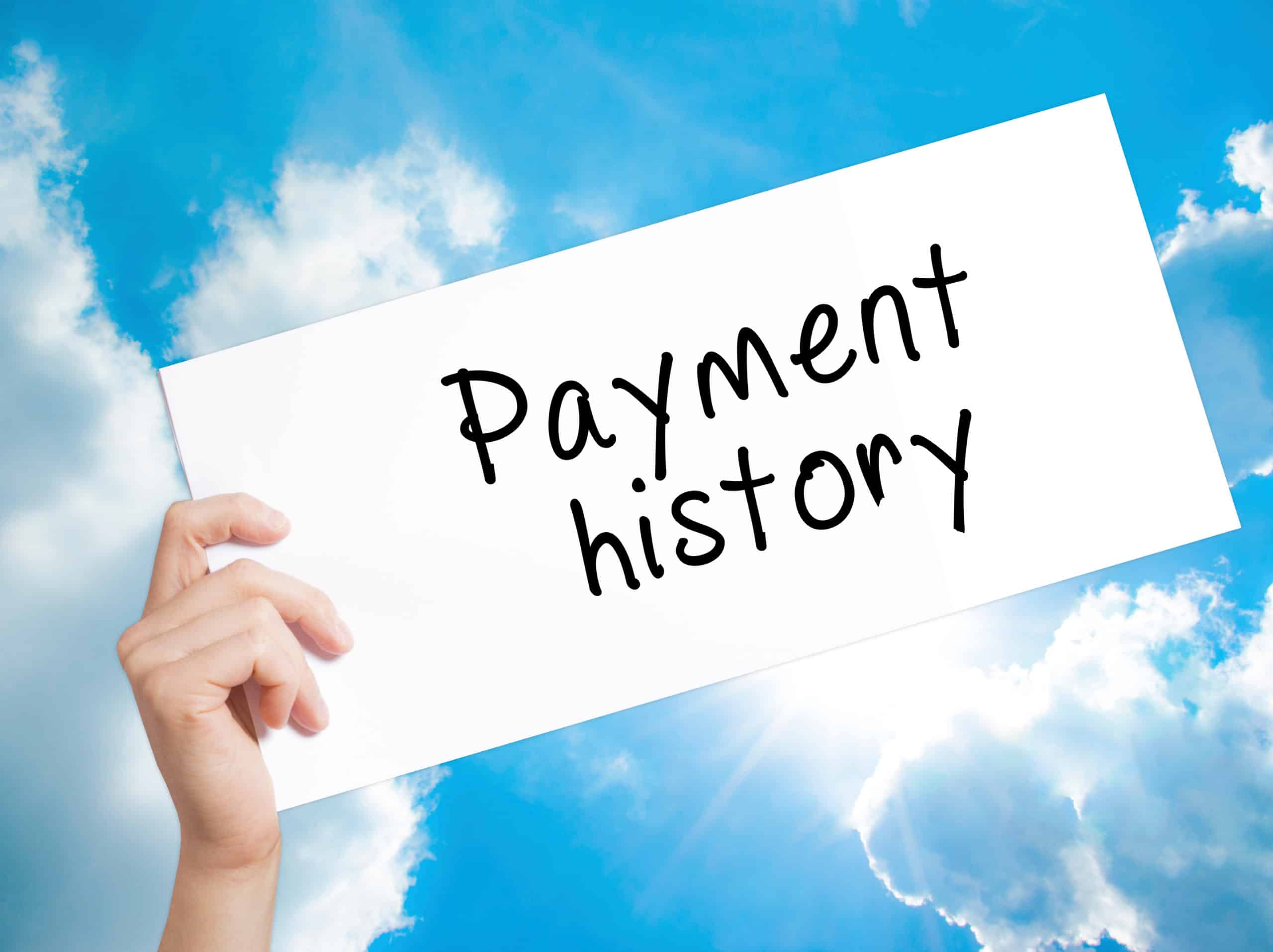 Payment History Visualization - Financial Transactions Over Time